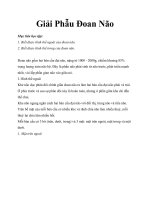 Tài liệu về Giải Phẫu Đoan Não