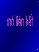 Bài giảng Mô phôi phần mô liên kết