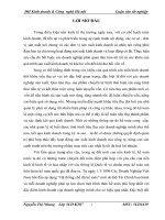 Kế toán bán hàng và xác định kết quả bán hàng tại Công ty Cổ Phần thương mại dịch vụ Sen Vàng