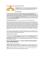 phuong phap hoc tieng anh moi