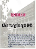 Tập hình ảnh - Cách mạng tháng 8.1945