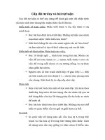 Cấp độ tư duy và bài tự luận