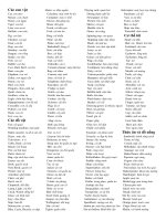 Các từ vựng thông dụng trong tiếng Anh