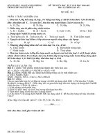 DE HOA 12 (GIUAHK2 2010-2011)NH