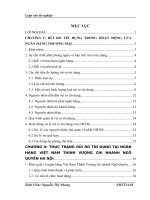 báo cáo tốt nghiệp giải pháp hạn chế rủi ro tín dụng tại ngân hàng việt nam thịnh vượng chi nhánh ngô quyền hà nội