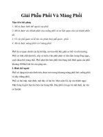 Giải Phẫu Phổi Và Màng Phổi