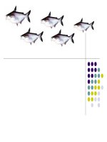 Phân tích chi phí lợi ích