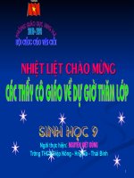 Bài 55 - Ô nhiễm môi trường