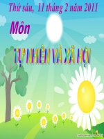 Bài giảng hay không hay không lấy tiền