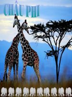 tro choi o chu- Địa lý - Châu Phi