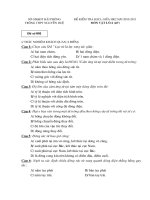 DE VATLY11 (GIUAHK2 2010-2011)NH