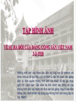 VỀ SỰ RA ĐỜI CỦA ĐẢNG CỘNG SẢN VIỆT NAM