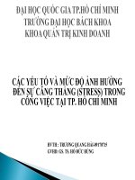 Silde nghiên cứu: CÁC YẾU TỐ VÀ MỨC ĐỘ ẢNH HƯỞNG ĐẾN SỰ CĂNG THẲNG (STRESS) TRONG CÔNG VIỆC TẠI TP. HỒ CHÍ MINH