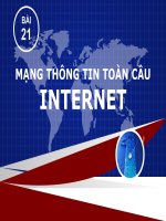 Bài 21 - Mạng thông tin toàn cầu