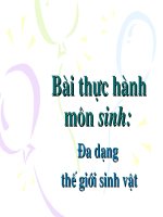 Thuc hanh: Da Dang Sinh Hoc