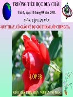 TLV KỂ VỀ NGÀY HỘI