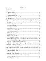 Tiểu luận môn Kinh tế lượng Mối quan hệ giữa lạm phát - thật nghiệp và tăng trưởng kinh tế Hoa Kỳ