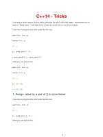 C++14  các kĩ thuật lập trình trong C++14