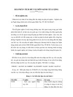 Tổng hợp bài tập nhóm môn kinh tế lượng có đáp án