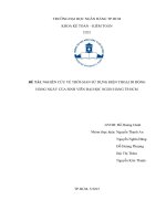 Tiểu luận môn Kinh tế lượng NGHIÊN CỨU VỀ THỜI GIAN SỬ DỤNG ĐIỆN THOẠI DI ĐỘNG HẰNG NGÀY CỦA SINH VIÊN ĐẠI HỌC NGÂN HÀNG TP.HCM