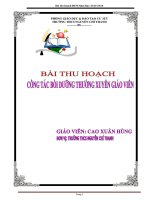 Bài thu hoạch công tác bồi dưỡng thường xuyên giáo viên THCS