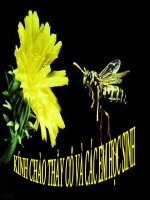 BÀI 31. TẬP TÍNH CỦA ĐỘNG VẬT. KA VIÊN NHI