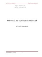 Chuyên đề bồi dưỡng học sinh giỏi vật lý