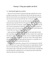 luận văn công nghệ sinh học  Giải pháp đảm bảo chất lượng phòng trừ mối, côn trùng tại công ty TNHH phòng trừ mối và côn trùng gây hại An Sinh