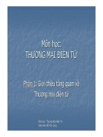 Thuong mai dien tu_phan 1