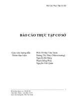 Thực tập cơ sở ngành công nghệ thông tin 2