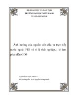 Tiểu luận môn Kinh tế lượng Ảnh hưởng của nguồn vốn đầu tư trực tiếp nước ngoài FDI và tỉ lệ thất nghiệp tỉ lệ lạm phát đến GDP