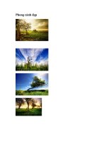 tich luy thang 12/2010