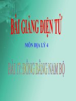 BÀI 17 ĐỒNG BẰNG NAM BỘ