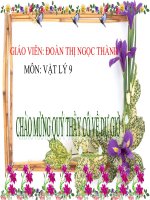 bai 43 anh cua mot vat tao boi thau kinh hoi tu