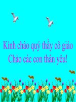 tập tô chu cai E Ê