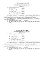 Đề kiểm tra giữa HKII năm học 2010-2011