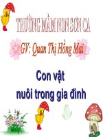 CON VẬT NUÔI TRONG GIA ĐÌNH