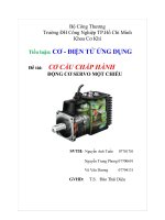 Tiểu luận cơ cấu chấp hành động cơ servo