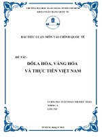TIỂU LUẬN MÔN TÀI CHÍNH QUỐC TẾ ĐÔ LA HÓA, VÀNG HÓA VÀ THỰC TIỄN VIỆT NAM