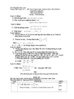 Đề thi chọn hsg khối 11 có đáp án ( Dung)