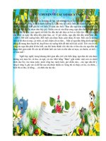 CÂU CHUYỆN VỀ CÁC LOÀI CÁ VÀ ỐC