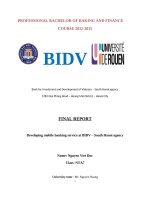 Developing mobile banking service at BIDV – South Hanoi agency
