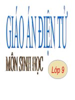 O NHIEM MOI TRUONG T2  THI GVG TINH