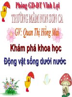 DONG VAT SONG DUOI NUOC