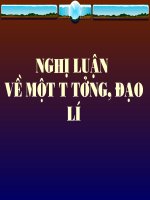 Nghị luaanjveef một tư tưởng đạo lí