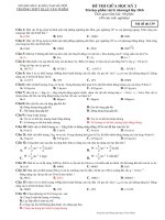 kiem tra giua ky 2 lop 10(LVT)