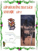 giao an dien tu sinh 9