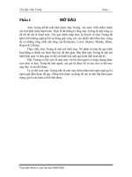 Tiểu luận máy turing