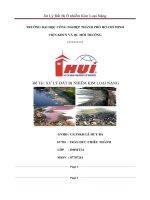 Tiểu luận XỬ LÝ ĐẤT BỊ NHIỄM KIM LOẠI NẶNG