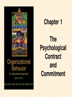 Organizational behaviour an experimental approach